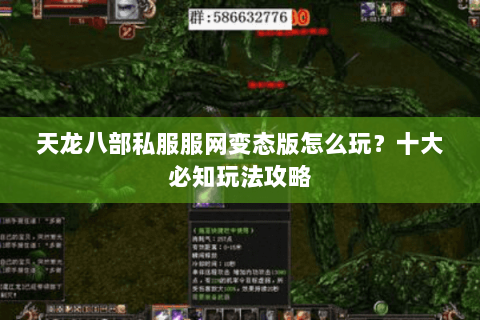 天龙八部私服服网变态版怎么玩？十大必知玩法攻略