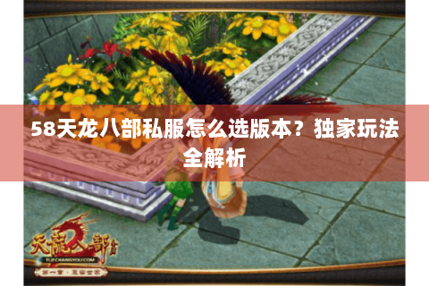 58天龙八部私服怎么选版本？独家玩法全解析