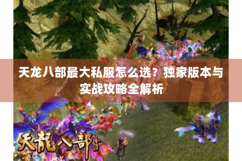 天龙八部最大私服怎么选？独家版本与实战攻略全解析