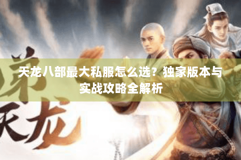 天龙八部最大私服怎么选？独家版本与实战攻略全解析