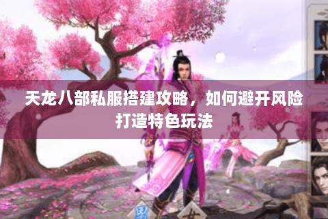 天龙八部私服搭建攻略，如何避开风险打造特色玩法