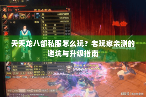 天天龙八部私服怎么玩？老玩家亲测的避坑与升级指南