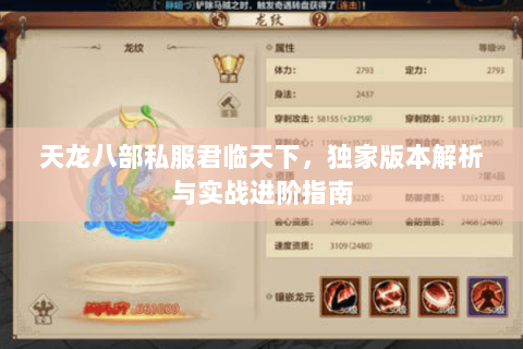 天龙八部私服君临天下，独家版本解析与实战进阶指南
