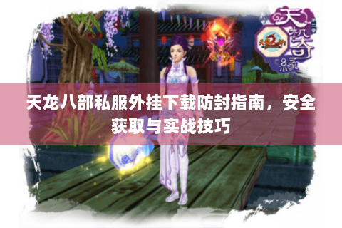 天龙八部私服外挂下载防封指南，安全获取与实战技巧