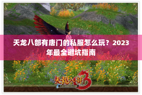 天龙八部有唐门的私服怎么玩？2023年最全避坑指南