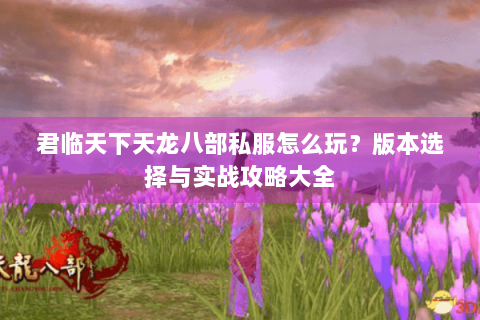 君临天下天龙八部私服怎么玩？版本选择与实战攻略大全
