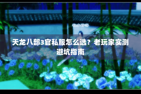 天龙八部3官私服怎么选？老玩家实测避坑指南