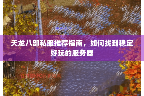 天龙八部私服推荐指南，如何找到稳定好玩的服务器