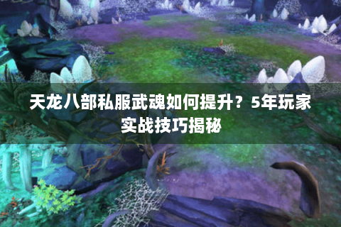 天龙八部私服武魂如何提升？5年玩家实战技巧揭秘