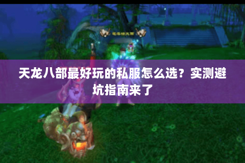 天龙八部最好玩的私服怎么选？实测避坑指南来了
