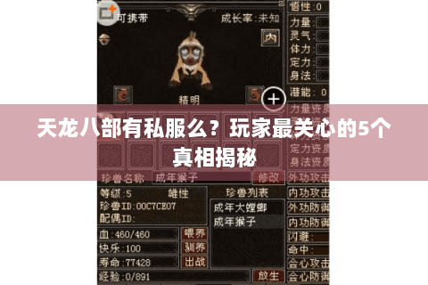 天龙八部有私服么？玩家最关心的5个真相揭秘