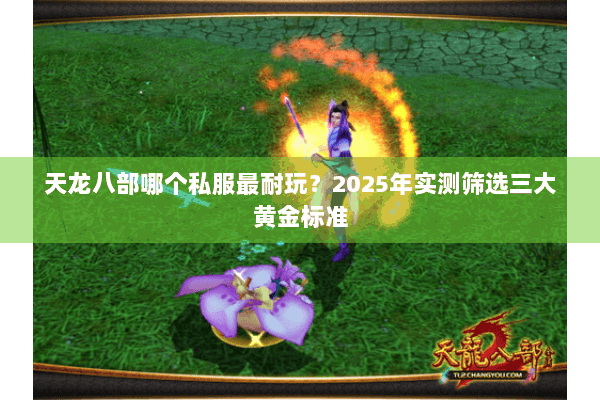 天龙八部哪个私服最耐玩？2025年实测筛选三大黄金标准