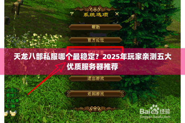 天龙八部私服哪个最稳定？2025年玩家亲测五大优质服务器推荐