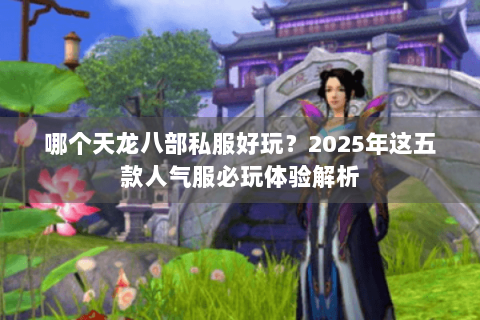 哪个天龙八部私服好玩？2025年这五款人气服必玩体验解析