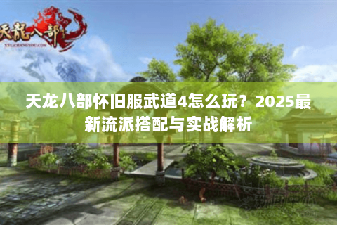 天龙八部怀旧服武道4怎么玩？2025最新流派搭配与实战解析