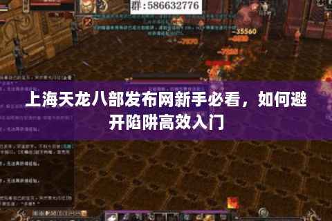 上海天龙八部发布网新手必看，如何避开陷阱高效入门