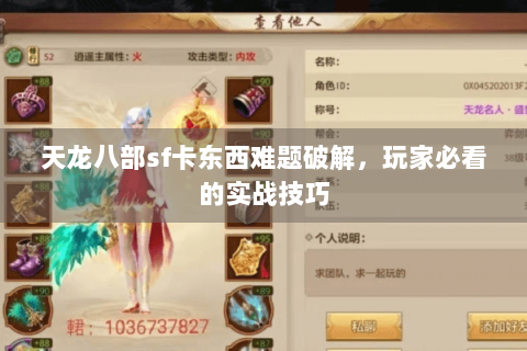 天龙八部sf卡东西难题破解，玩家必看的实战技巧
