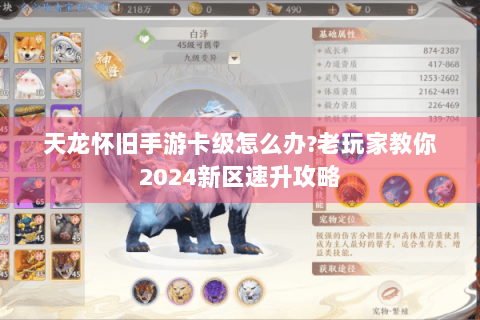 天龙怀旧手游卡级怎么办?老玩家教你2024新区速升攻略