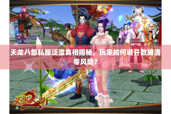 天龙八部私服泛滥真相揭秘，玩家如何避开数据清零风险？