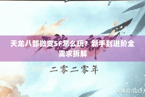 天龙八部微变SF怎么玩？新手到进阶全需求拆解