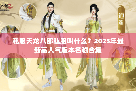 私服天龙八部私服叫什么？2025年最新高人气版本名称合集