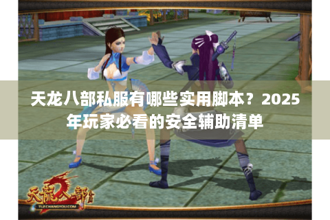 天龙八部私服有哪些实用脚本？2025年玩家必看的安全辅助清单