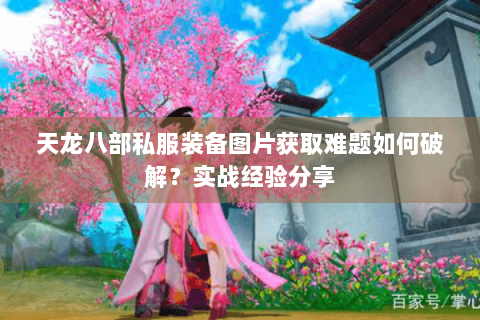 天龙八部私服装备图片获取难题如何破解？实战经验分享