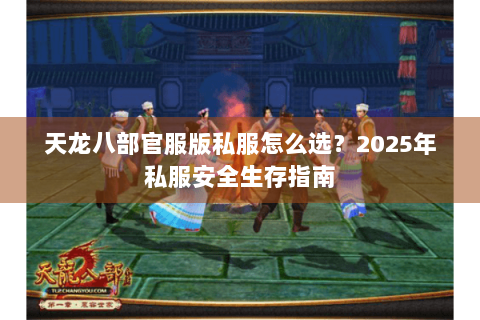 天龙八部官服版私服怎么选？2025年私服安全生存指南
