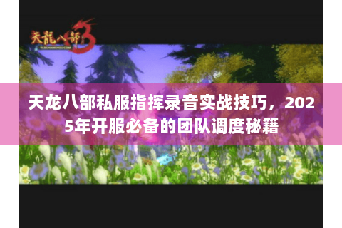 天龙八部私服指挥录音实战技巧，2025年开服必备的团队调度秘籍