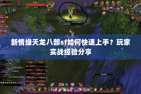 新情缘天龙八部sf如何快速上手？玩家实战经验分享