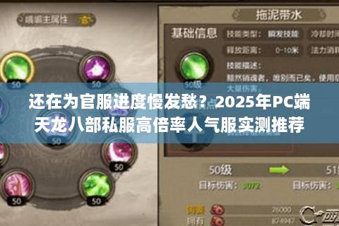 还在为官服进度慢发愁？2025年PC端天龙八部私服高倍率人气服实测推荐