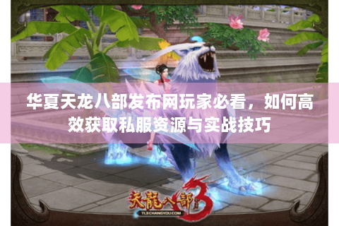 华夏天龙八部发布网玩家必看，如何高效获取私服资源与实战技巧