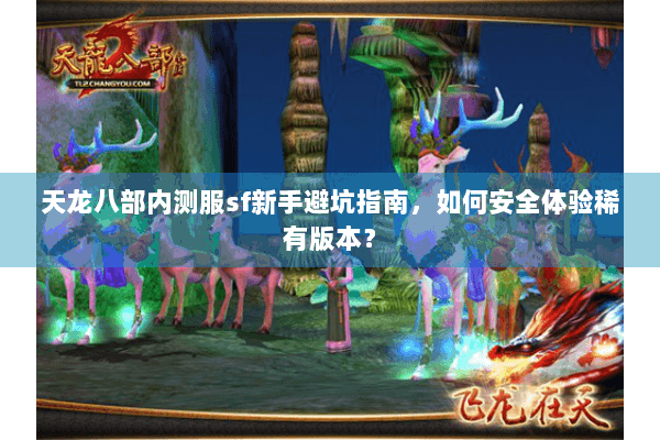 天龙八部内测服sf新手避坑指南，如何安全体验稀有版本？