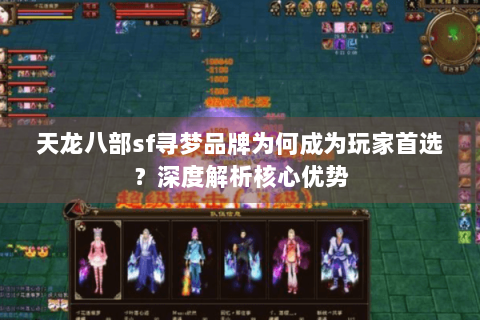 天龙八部sf寻梦品牌为何成为玩家首选？深度解析核心优势