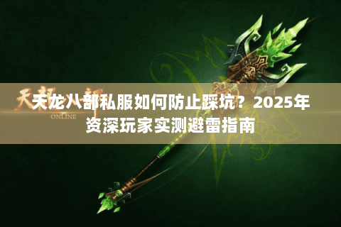 天龙八部私服如何防止踩坑？2025年资深玩家实测避雷指南