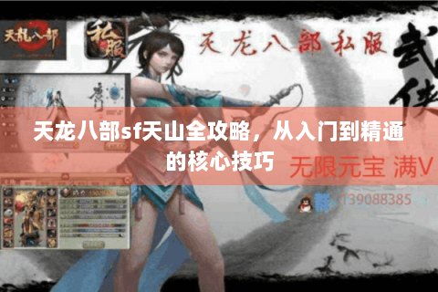 天龙八部sf天山全攻略，从入门到精通的核心技巧