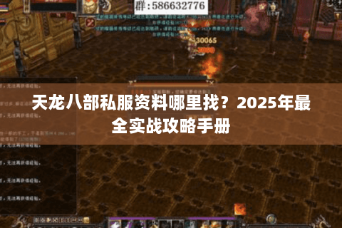 天龙八部私服资料哪里找？2025年最全实战攻略手册
