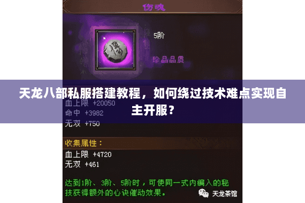 天龙八部私服搭建教程，如何绕过技术难点实现自主开服？