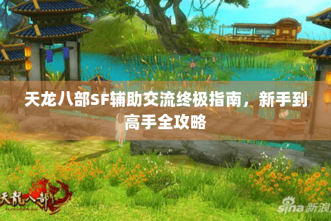 天龙八部SF辅助交流终极指南，新手到高手全攻略