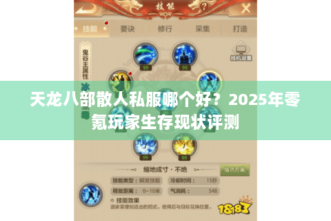天龙八部散人私服哪个好？2025年零氪玩家生存现状评测