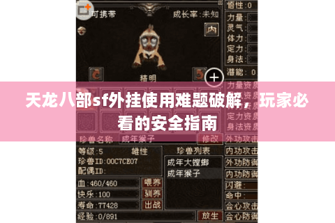 天龙八部sf外挂使用难题破解，玩家必看的安全指南