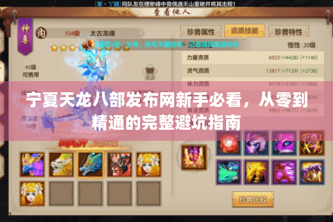 宁夏天龙八部发布网新手必看，从零到精通的完整避坑指南