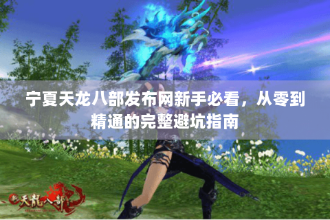 宁夏天龙八部发布网新手必看，从零到精通的完整避坑指南