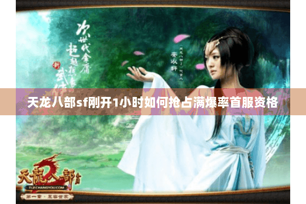 天龙八部sf刚开1小时如何抢占满爆率首服资格