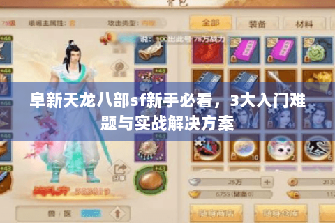 阜新天龙八部sf新手必看，3大入门难题与实战解决方案