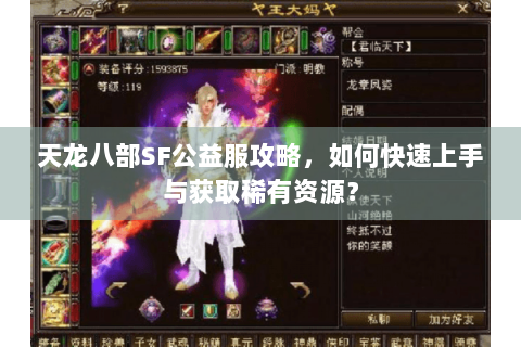 天龙八部SF公益服攻略，如何快速上手与获取稀有资源？