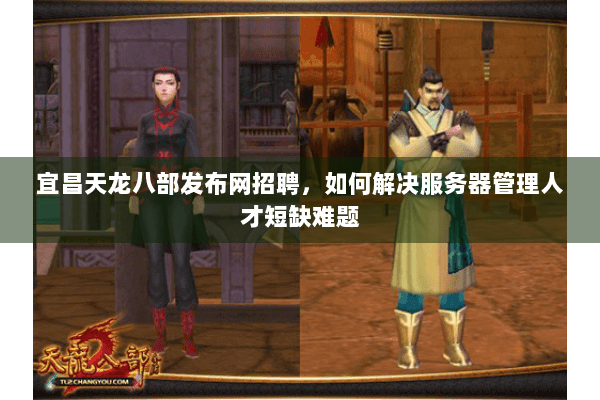 宜昌天龙八部发布网招聘，如何解决服务器管理人才短缺难题