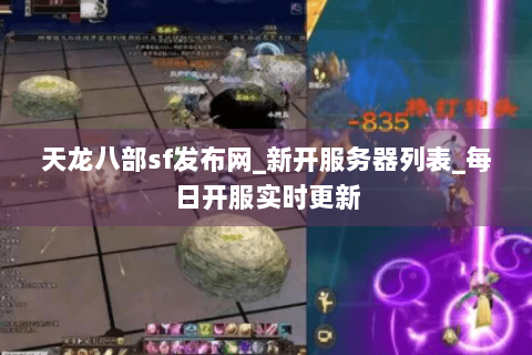 天龙八部sf发布网_新开服务器列表_每日开服实时更新