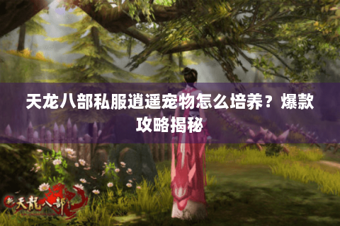 天龙八部私服逍遥宠物怎么培养？爆款攻略揭秘