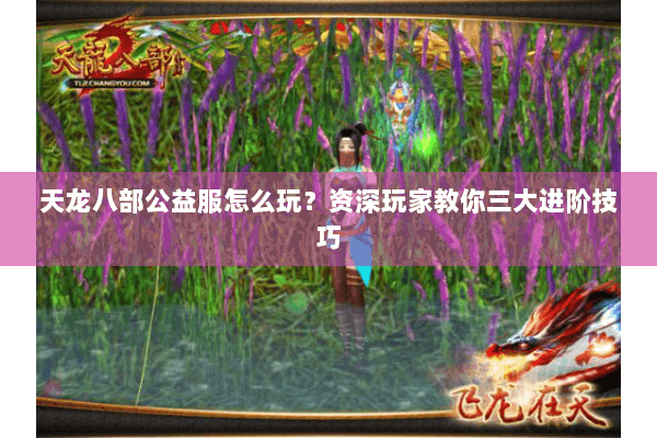 天龙八部公益服怎么玩？资深玩家教你三大进阶技巧